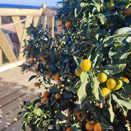 Apartment Cote Et - Standing Dans Avec Piscine Et Vue *