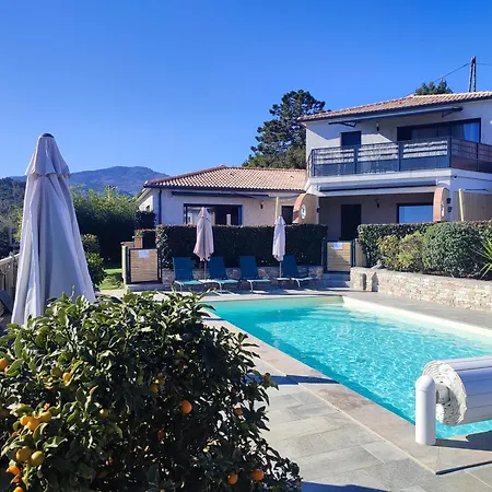 Cote Et - Standing Dans Avec Piscine Et Vue Taglio-Isolaccio