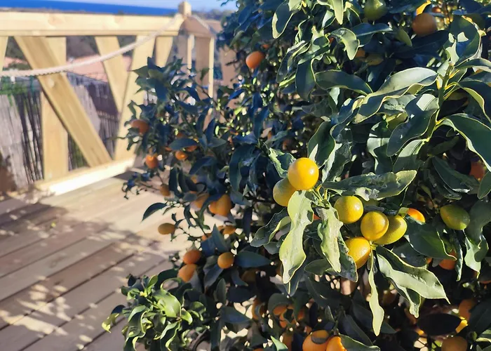 Appartement Cote Et - Standing Dans Avec Piscine Et Vue *